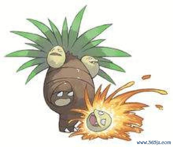 阿罗拉椰蛋树最全游戏攻略解说_阿罗拉椰蛋树最新游戏技巧通关