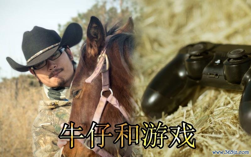 牛仔图片最全游戏攻略解说_牛仔图片最新游戏技巧通关