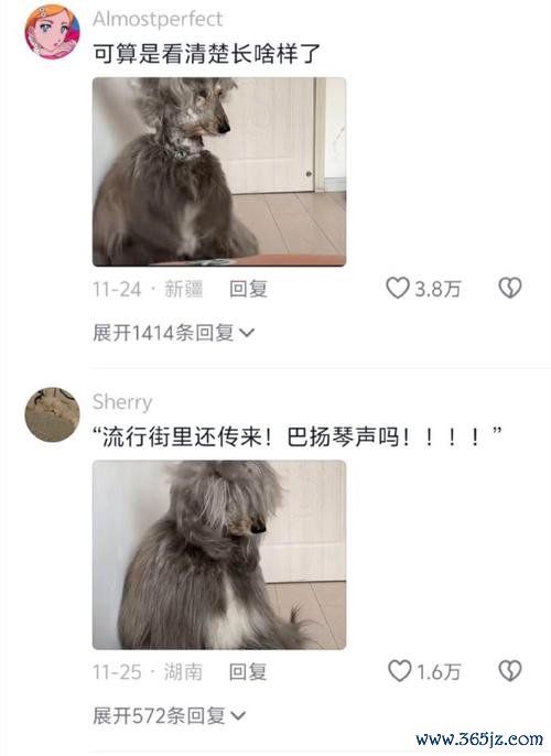 汪疯游戏最全攻略解说_汪疯游戏最新技巧通关