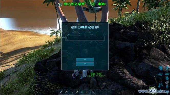 方舟驯服代码全流程攻略_最新高效驯服技巧大揭秘_游戏攻略